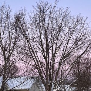 Meet your Posher, Zarah